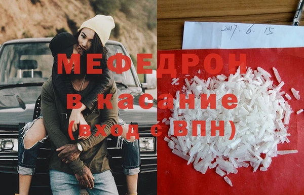 индика Щигры