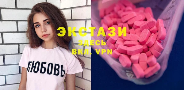 индика Щигры