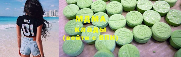 индика Щигры