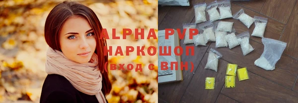 индика Щигры