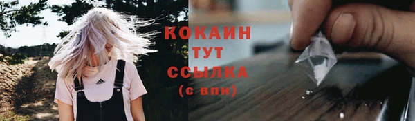 кокс Щучье