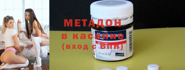 индика Щигры