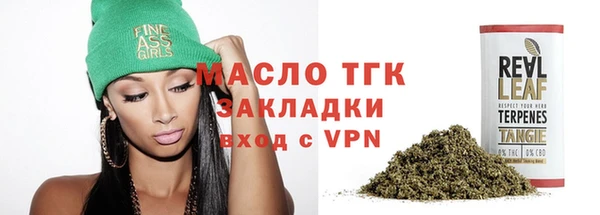 индика Щигры