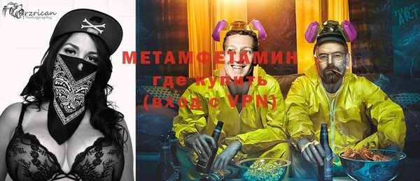 индика Щигры
