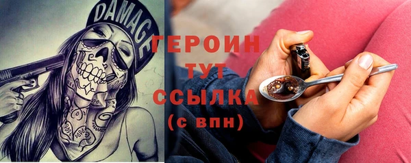 индика Щигры