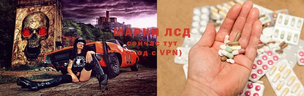 твердый Кущёвская