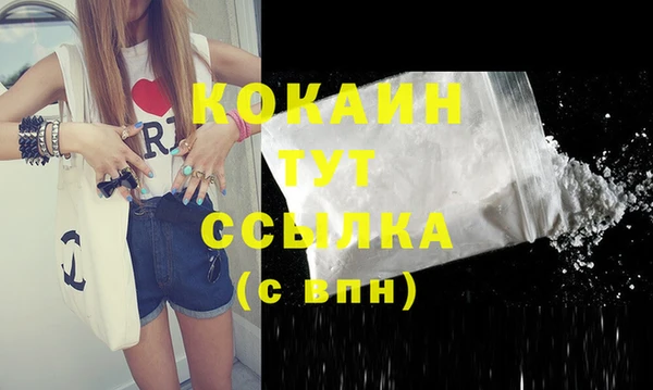 индика Щигры