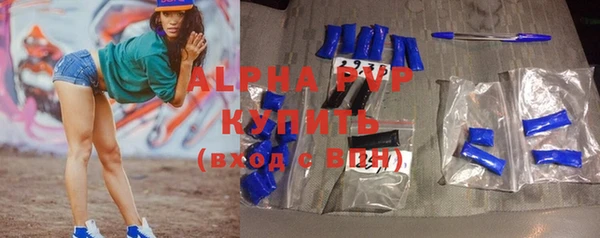 индика Щигры