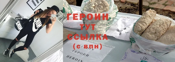 индика Щигры