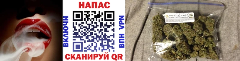 Канабис планчик Красково